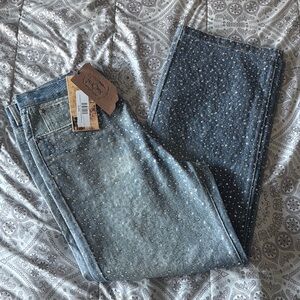 Birth of Royal Child Studded Blue Jeans